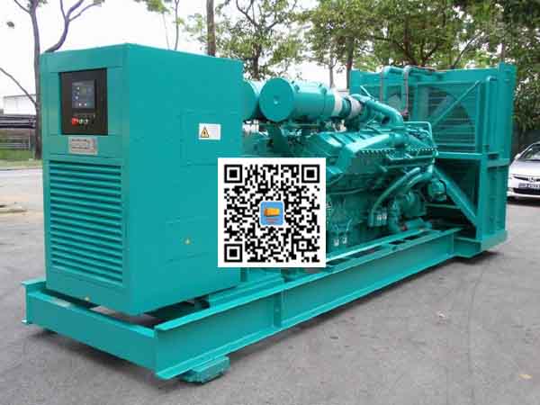 湖北租赁发电机-康明斯发电机性价比还是比较高的